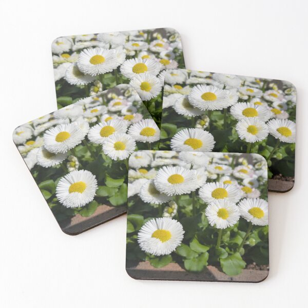 Item preview, white daisy designed and sold by yunee.