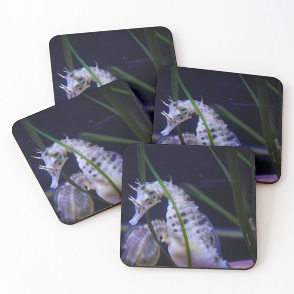 Item preview, Seahorse designed and sold by Belles-Photos.