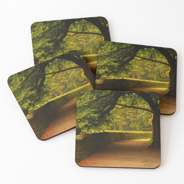 Item preview, Entwistle Reservoir - Walking Trail Path during the Autumn designed and sold by Shafiq Khan.