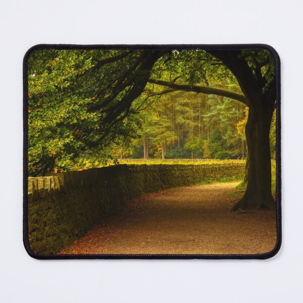 Item preview, Entwistle Reservoir - Walking Trail Path during the Autumn designed and sold by Shafiq Khan.