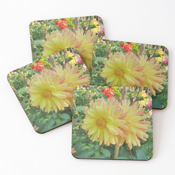 Item preview, Yellow and Red Dahlias designed and sold by Claire L Page Photography.