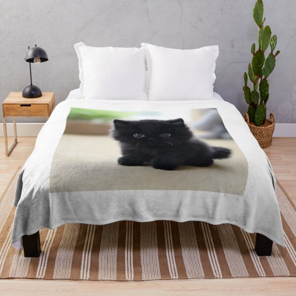 Item preview, Get Your Copy of Fluffy the Cute Cat Today! designed and sold by Shirtastically.