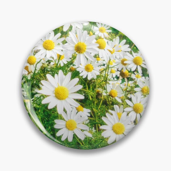 Item preview, Sea Mayweed Blossoms in Garden designed and sold by Marco Sales.