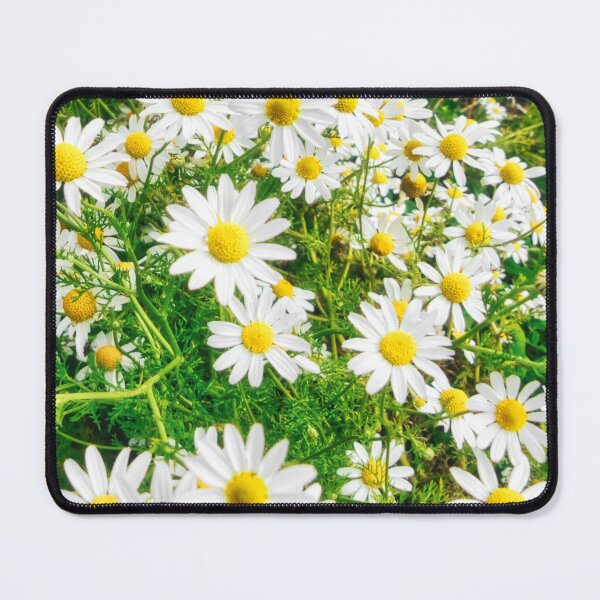 Item preview, Sea Mayweed Blossoms in Garden designed and sold by Marco Sales.