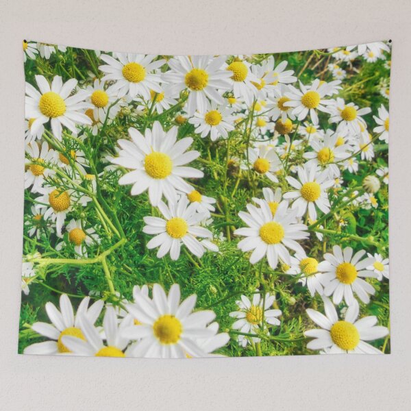 Item preview, Sea Mayweed Blossoms in Garden designed and sold by Marco Sales.