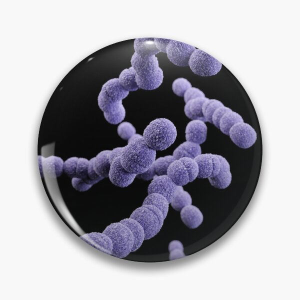 Item preview, STK701479H-3D Streptococcus agalactiae bacteria. designed and sold by StocktrekImages.