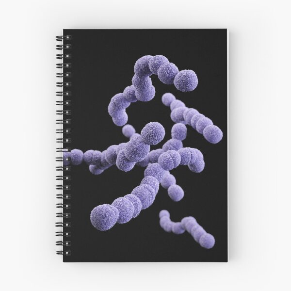 Item preview, STK701479H-3D Streptococcus agalactiae bacteria. designed and sold by StocktrekImages.