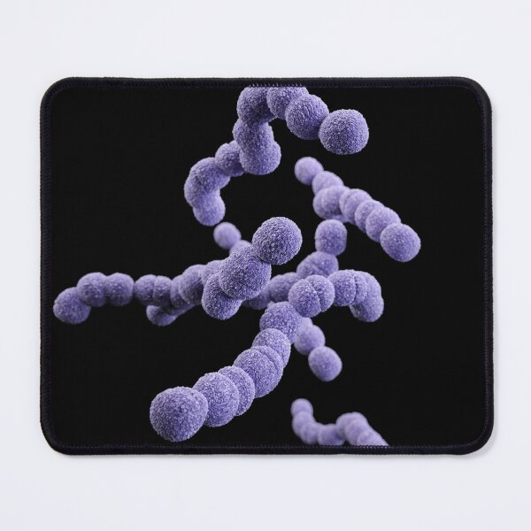 Item preview, STK701479H-3D Streptococcus agalactiae bacteria. designed and sold by StocktrekImages.
