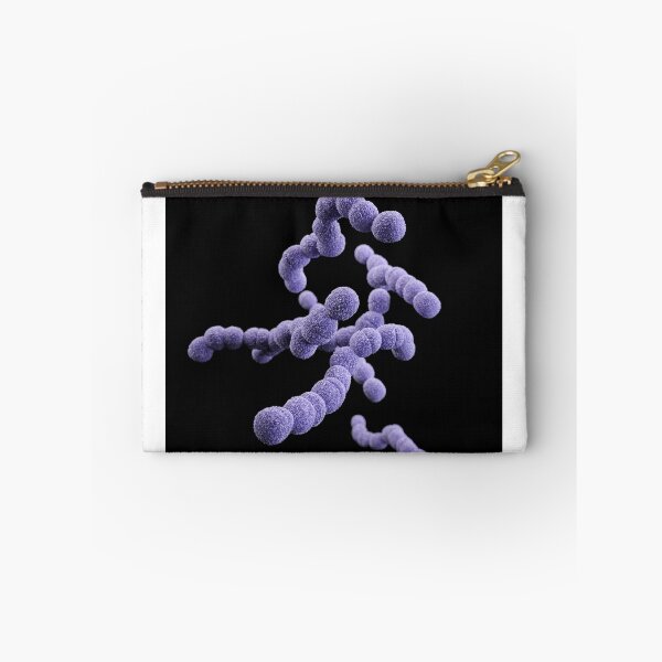 Item preview, STK701479H-3D Streptococcus agalactiae bacteria. designed and sold by StocktrekImages.