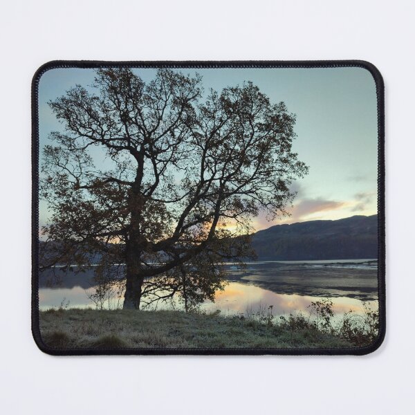 Item preview, Oak tree frosty morning designed and sold by RONALD MACKENZIE.