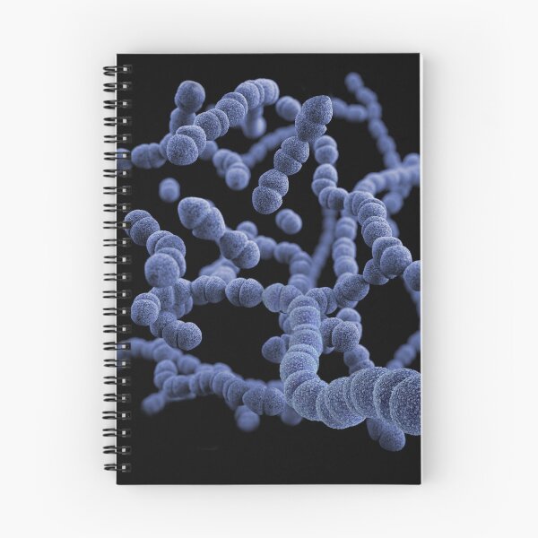 Item preview, STK701480H-3D Streptococcus pneumoniae bacteria. designed and sold by StocktrekImages.