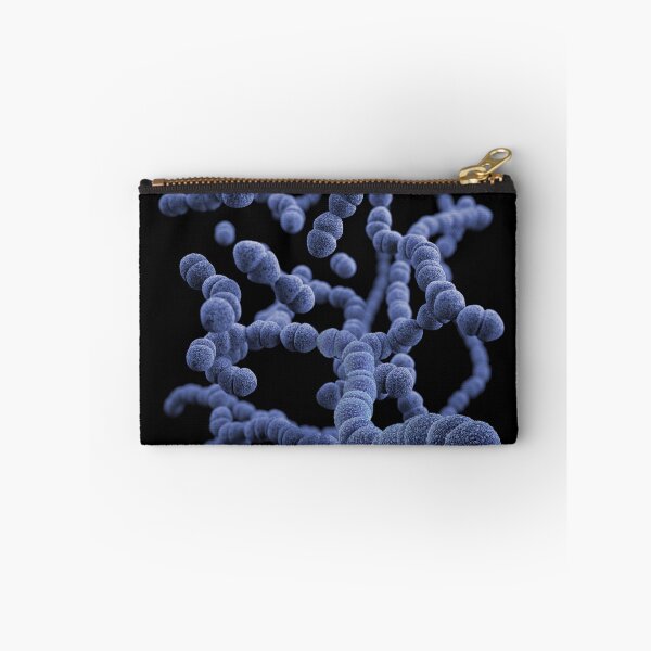 Item preview, STK701480H-3D Streptococcus pneumoniae bacteria. designed and sold by StocktrekImages.