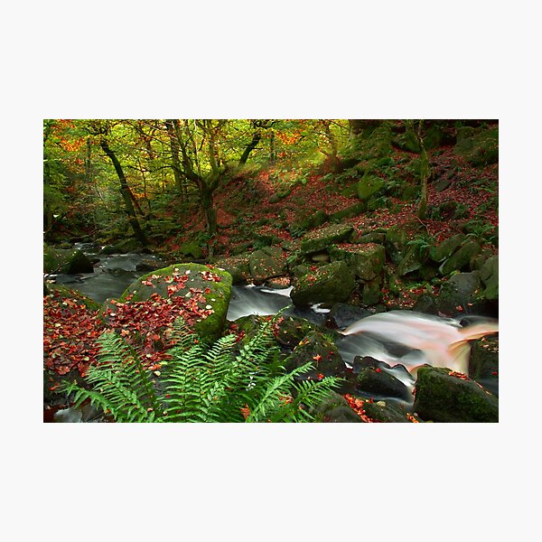 Item preview, Padley Gorge designed and sold by Alisonchambers2.