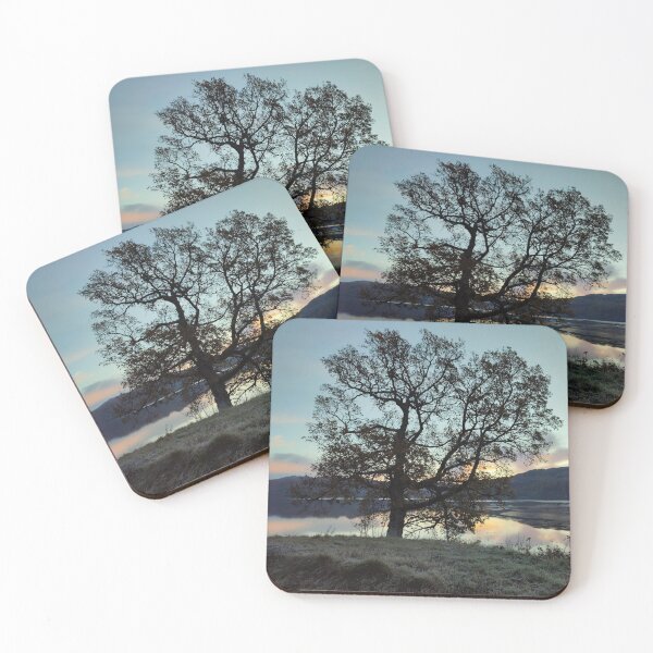 Item preview, Oak tree frosty morning designed and sold by RONALD MACKENZIE.