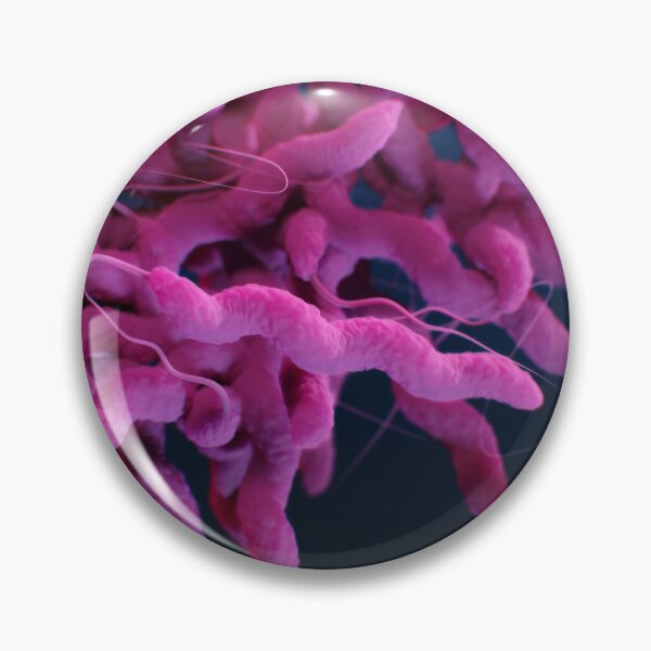 Item preview, STK701481H-Campylobacter sp. bacteria. designed and sold by StocktrekImages.