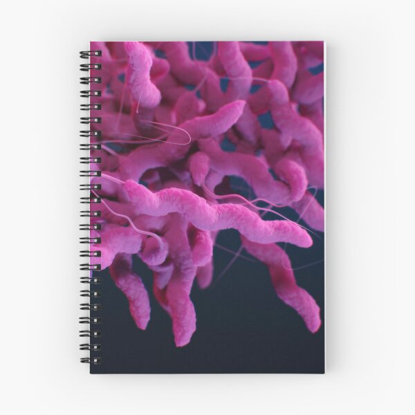 Item preview, STK701481H-Campylobacter sp. bacteria. designed and sold by StocktrekImages.