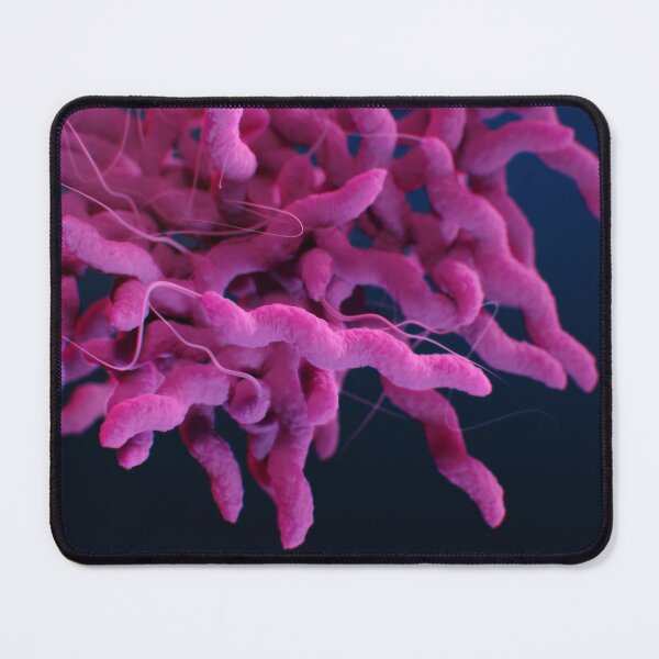 Item preview, STK701481H-Campylobacter sp. bacteria. designed and sold by StocktrekImages.