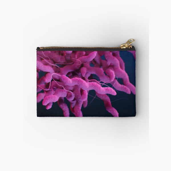 Item preview, STK701481H-Campylobacter sp. bacteria. designed and sold by StocktrekImages.