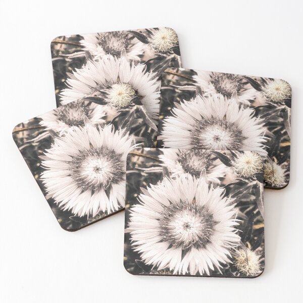 Item preview, Centaurea Pullata Bloom designed and sold by Marco Sales.