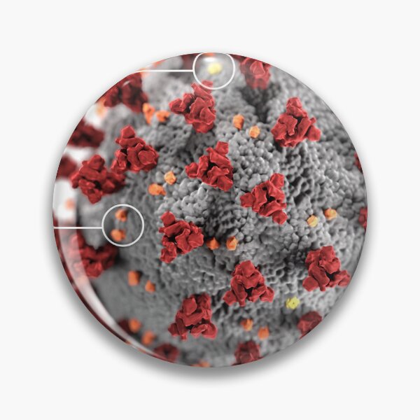 Item preview, STK701484H-3D ultrastructure of the coronavirus, with labels. designed and sold by StocktrekImages.