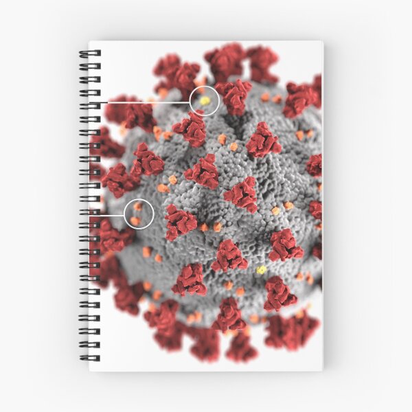 Item preview, STK701484H-3D ultrastructure of the coronavirus, with labels. designed and sold by StocktrekImages.