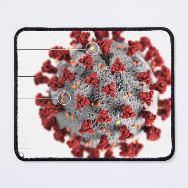 Item preview, STK701484H-3D ultrastructure of the coronavirus, with labels. designed and sold by StocktrekImages.