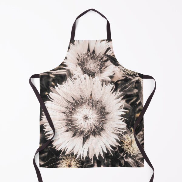 Item preview, Centaurea Pullata Bloom designed and sold by Marco Sales.