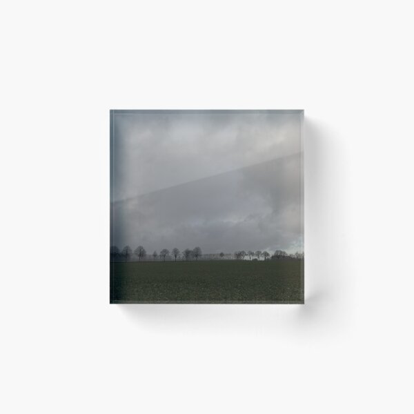 Item preview, Trees and Clouds designed and sold by Calidris Fotografie Steffi & Ben Köppler.