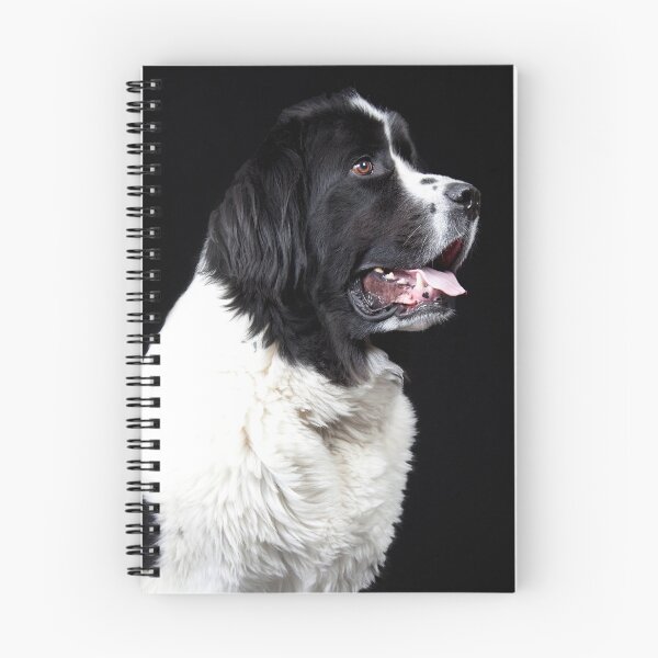 Item preview, Newfoundland Dog designed and sold by Shauna Kenworthy.