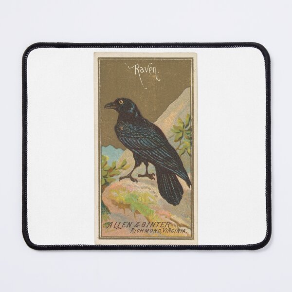 Item preview, Traditional American Raven designed and sold by AnimaliaStar.
