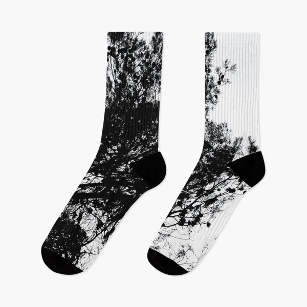 Item preview, Black and White Nature Photograph, Pine Trees designed and sold by IdoFriedmanArt.