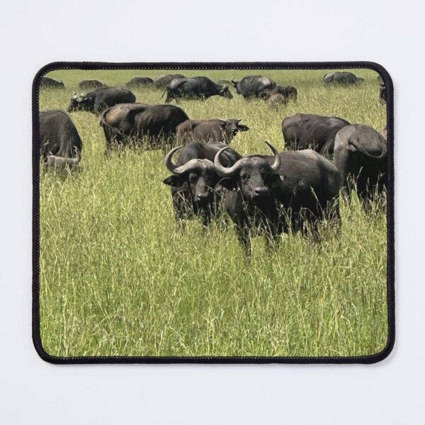 Item preview, Joyful Herd of Buffaloes in Masai Mara Kenya designed and sold by annenambiro.