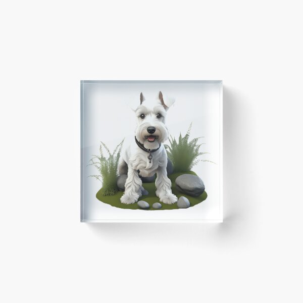 Artikelvorschau, Wunderschöner weißer Minischnauzer entworfen und verkauft von Kaleddis.