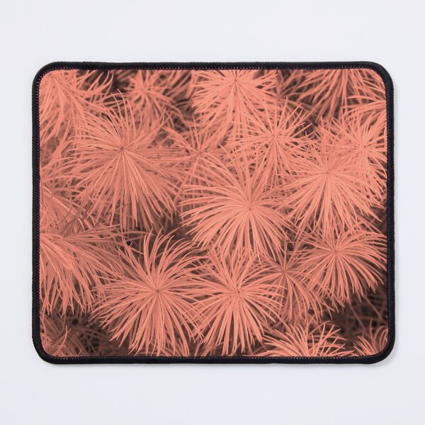 Item preview, Fashionably Toned Ornamental Bottlebrush Grasses designed and sold by Georgia Mizuleva.