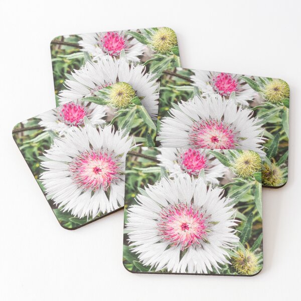 Item preview, Centaurea Pullata Flower designed and sold by Marco Sales.