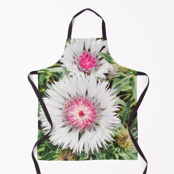 Item preview, Centaurea Pullata Flower designed and sold by Marco Sales.