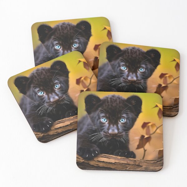 Item preview, Panther animal young cub in the wilderness designed and sold by NBSStore.