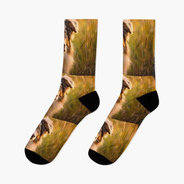 Item preview, Cute australian shepherd dog breed portrait photography in nature designed and sold by NBSStore.