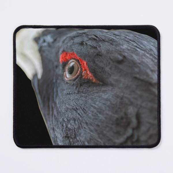 Item preview, Capercaillie portrait designed and sold by Ingo Gerlach.