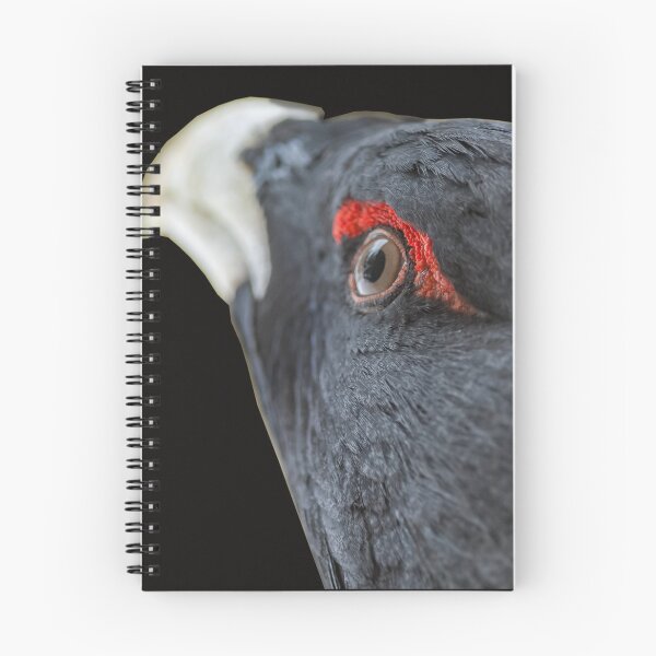 Item preview, Capercaillie portrait designed and sold by Ingo Gerlach.