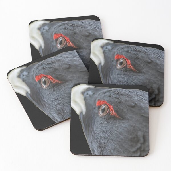 Item preview, Capercaillie portrait designed and sold by Ingo Gerlach.