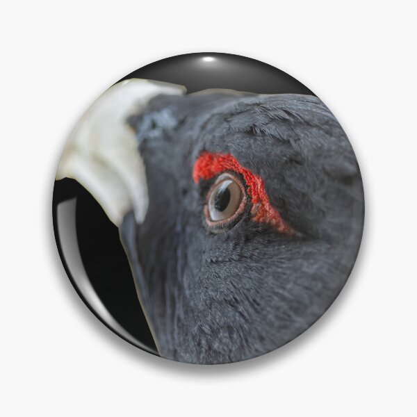 Item preview, Capercaillie portrait designed and sold by Ingo Gerlach.