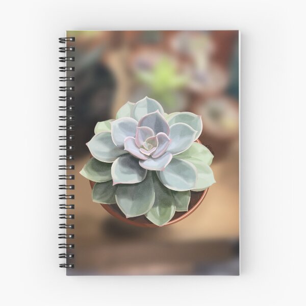 Item preview, Echeveria    designed and sold by Purplepugprints.