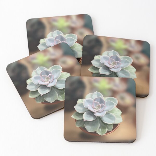 Item preview, Echeveria    designed and sold by Purplepugprints.