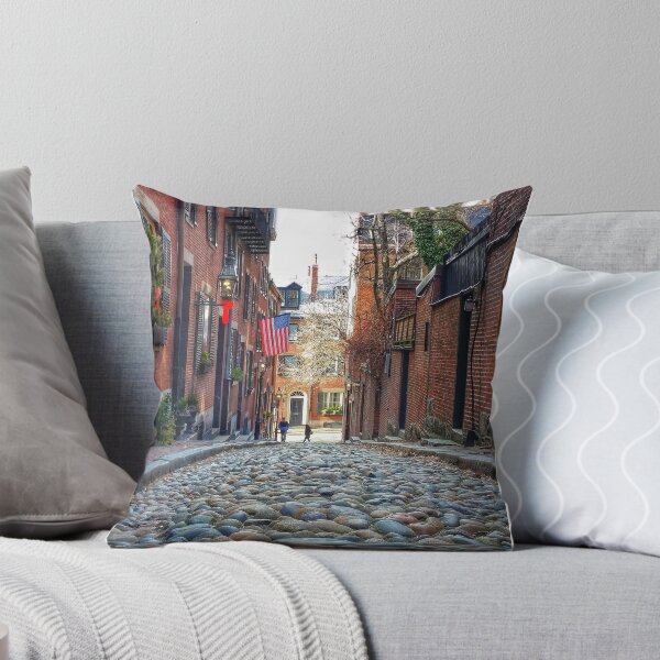 Item preview, Winter Holiday in Boston designed and sold by MarkBethoney.