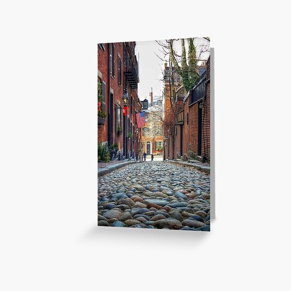Aperçu de l'œuvre Vacances d'hiver à Boston créée et vendue par MarkBethoney.