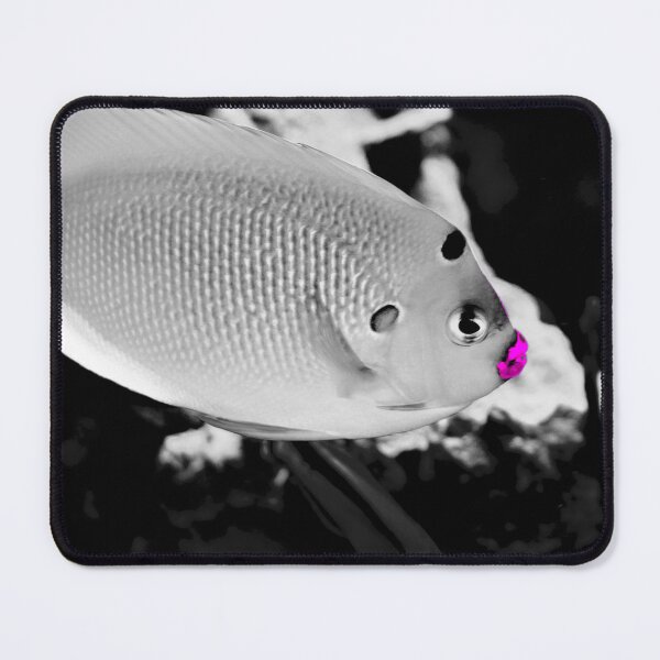 Item preview, Kiss-mouth fish designed and sold by wellartkunst.