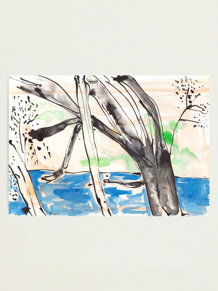 Alternate view of Ross River Rain Tree Photographic Print