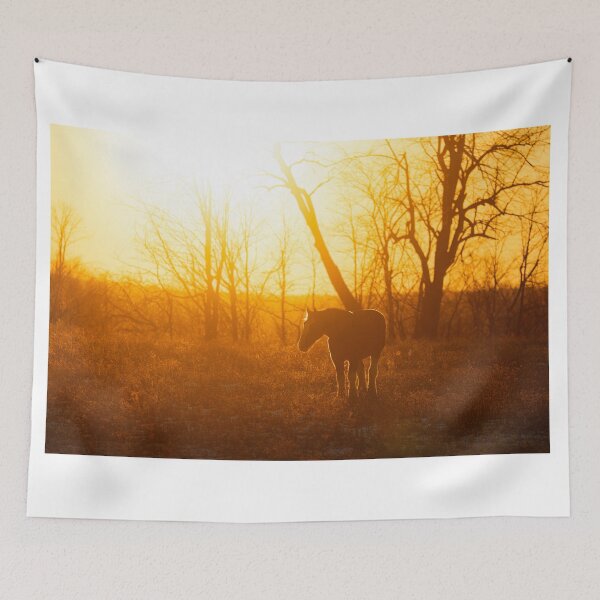 Item preview, Clydesdale horse silhouette in an autumn meadow at sunset designed and sold by James Cumming.