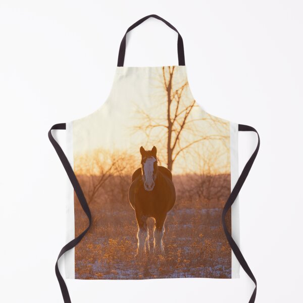 Item preview, A Clydesdale horse silhouette in an autumn meadow at sunset designed and sold by James Cumming.